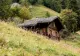 Satul din România care a ajuns să aibă un singur locuitor. Bărbatul nu vrea să se mute nici în ruptul capului