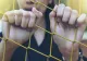 Cum îi exploateaza mafia din Germania pe românii săraci. Schema ajutoarelor sociale, metoda rapidă de îmbogățire