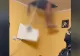 Video. Momentul în care un infractor coboară din tavanul fals, unde s-a ascuns de frica mascaților