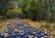 Prognoza meteo 6 noiembrie. Cer închis în sud și est, ploi slabe și temperaturi blânde