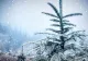 Vreme de iarnă adevărată de Crăciun. Meteorologii au emis COD GALBEN de ninsori, viscol și polei  - HARTA