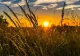 Domul de caniculă lovește România, temperaturi extreme în termometre
