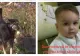 Tragedie în Vrancea: un copil de trei ani, găsit mort într-un canal. Micuțul a fost atacat de 8 câini în drum spre bunica sa