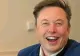 Elon Musk lansează aplicația care promite intimitate totală. Mesaje care dispar, fără număr de telefon și fără urme digitale