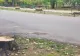 Parcul Herăstrău a rămas fără arborii emblematici de la intrarea Arcul de Triumf. Imagini dezolante - FOTO