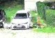O haită de câini a făcut prăpăd într-o parcare: o mașină, distrusă aproape complet