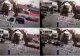 Accident desprins din filmele de comedie. Și-a întins mâna după tichetul de parcare și și-a făcut mașina praf - VIDEO 