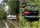 Furtuna a făcut ravagii în București. Peste 200 de copaci au fost doborâți de vântul puternic iar 163 mașini au fost avariate VIDEO