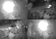 Tragedie în județul Neamț. Șofer băut, impact mortal cu o mașină parcată - VIDEO 
