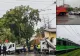 Codul portocaliu de vânt a făcut prăpăd în București și Ilfov: o victimă, după ce un copac a căzut peste o mașină în mers. Circulația tramvaielor, întreruptă pe Șoseau Giurgiului- FOTO/VIDEO