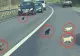 Zece cățeluși abandonați pe marginea DN14, salvați de o localnică. Poliția a deschis deja o anchetă pentru identificarea făptașului
