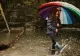 COD ROȘU de ploi abundente și viscol. România intră sub avertizări meteo extreme. ANM a emis Coduri Portocalii și Galbene în rafală 