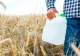 Lege împotriva otrăvurilor din farfurie. Guvernul adoptă măsuri noi împotriva utilizării pesticidelor