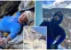 Alpinist de 23 de ani mort după ce a căzut de la 700 de metri. Imagini șocante, momentul dramatic a fost transmis live pe internet