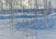 Vremea se schimbă radical. Valori neobișnuite în decembrie, vortexul polar cuprinde România. Directorul ANM, anunț de ultimă oră