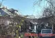 Sfârșit cumplit pentru o bătrână: a murit în urma unui incendiu uriaș, iar soțul a fost dus de urgență la spital