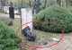 Polițiștii timișoreni, în alertă. Mai multe statui ale personalităților din Banat, vandalizate în Parcul Central