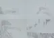 Iarna și-a intrat în drepturi. Zăpadă de un metru la munte, anunțul meteorologilor-VIDEO 