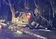 Accident grav pe DN1, în Azuga. Opt victime, inclusiv trei copii. Un tânăr de 24 de ani, în stop cardio-respirator