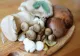 Alimentul cu conținut scăzut de calorii care ajută inima și întărește sistemul imunitar. Bogat în fibre și vitamine