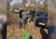 Scandal în Sectorul 3 din cauza tăierilor abuzive. Proteste după tăierile arborilor