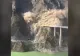 Un pod din China s-a prăbușit, la doar câteva luni după inaugurare