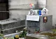 Loterie pentru un loc în cimitirul celebrităților din Paris. Dai un ban și te îngroapă lângă Jim Morrison sau Edith Piaf