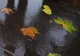 Schimbare radicală a vremii: de miercuri, ploi, vânt și temperaturi în scădere accentuată. La munte sunt așteptate ninsori