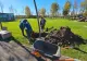 S-au plantat arbori în parcul Tudor Arghezi, în paralel cu extinderea acestuia cu încă 4 hectare