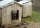 Bolojan vine cu o nouă bombă! Guvernul pune taxă pe orice, vom plăti inclusiv pentru cușca animalelor: „Nu mai lătra că-ți ia cușca!”