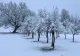 Meteo, România, 27 decembrie: fulguieli izolate, temperaturi scăzute și vânt intens în majoritatea regiunilor