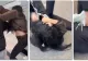 Scandal monstru cu bătaie între două femei, din cauza unui influencer