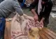Tăiatul porcului, unul dintre cele mai solide simboluri ale identității rurale românești VIDEO