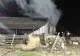 Incendiu suspect la o fermă din Satu Mare. Anchetatorii iau în considerare ca femeia să fi fost incendiată de iubit 