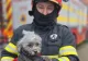 Incendiu într-un bloc din Giurgiu: zeci de locatari evacuați în a doua zi de Crăciun