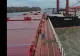 Coliziune pe Dunăre. Două nave s-au ciocnit VIDEO