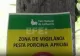 Focar de pestă porcină în Spania. O treime din exporturi, blocate