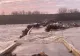 Dezastru la 20 de kilometri de Capitală: podul de peste Argeș de la Budești s-a prăbușit din cauza deversărilor de la baraje