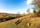 ANM: Temperaturile vor rămâne peste mediile climatologice până la final de decembrie 