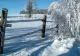 Iarnă blândă în România: valori termice peste normal. Cum vor arăta primele zile din ianuarie