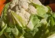Dietă drastică cu urmări grave: o tânără a ajuns la spital după luni întregi în care a mâncat doar două alimente