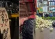 Fermierii francezi, proteste cu varză stricată și sicrie în fața casei lui Macron - VIDEO