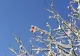 Vremea se schimbă săptămâna viitoare: meteorologii anunță scăderea temperaturilor. Ce ne așteaptă înainte de Crăciun?