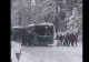 Zăpada dă peste cap traficul, la Brașov: autobuz împotmolit pe drumul spre Poiană. Imagini incredibile cu călătorii care îl trag VIDEO