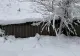 Alertă meteo COD GALBEN: ninsoare și viscol în munți, strat de zăpadă de până la 15 cm în Transilvania și Maramureș - HARTA cu zonele vizate