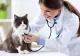 Cabinetele veterinare, în pericol de închidere după o decizie a Guvernului. Medicii amenință: Animalele vor avea de suferit!