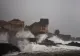 Sicilia, sub ape: STARE DE URGENȚĂ decretată în Italia, după ciclonul Harry care a făcut ravagii în sudul țării FOTO&VIDEO