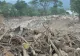 Catastrofă în Indonezia. Zeci de morți și dispăruți în urma alunecărilor de teren 