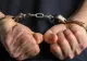 Bărbat din Dolj, arestat după ce a ucis un câine intrat în curtea sa: l-a bătut cu bestialitate până când bietul animal a murit