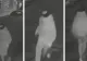 Un tânăr de 19 ani din Bihor a lovit un bătrân de 84 de ani cu o seceră în cap. Victima, între viață și moarte - VIDEO